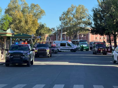 Ataque de abejas africanas en Durango deja al menos 20 lesionados