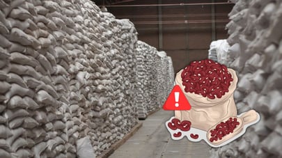 Durango, entre los principales productores de frijol, pero con muchas dificultades para comercializar