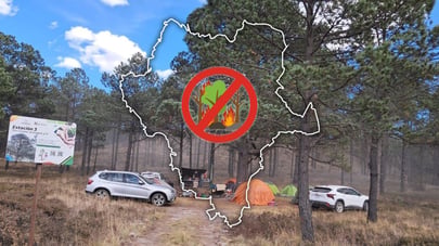 Durango sale del ranking de estados con mayor número de incendios forestales