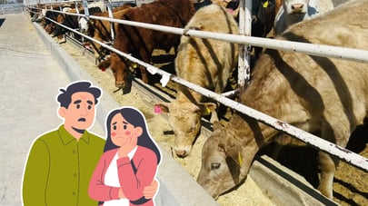 Cierre a la exportación de ganado afecta a 44 mil familias de Durango