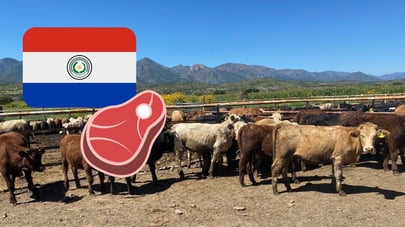 Mala noticia para ganaderos en Durango, por importación de carne de Paraguay