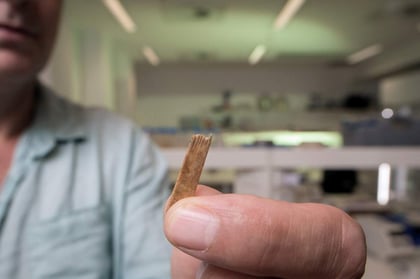 Herramientas para hacer tatuajes más antiguas tienen 2,700 años