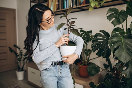 La razón por la que se recomienda hablar con tus plantas