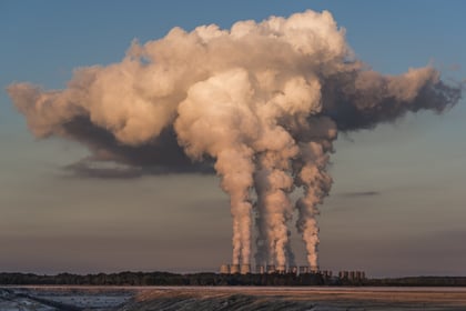 Los contaminantes atmosféricos ponen en jaque la polinización