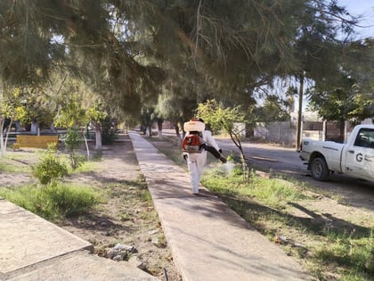 Se extendieron las acciones a los ejidos Las Huertas, El Vergelito, Poanas, Estación Noé, María Antonieta, Pastor Rouaix y las colonias Miravalle, San Felipe, Andador Peceros, Morelos, Regidores, Pánfilo Natera y Urbivillas.