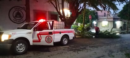 Atención. El único incidente reportado fue la caída de una rama de árbol en avenida Bravo.