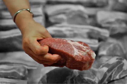 Ganaderos exigen frenar importaciones de carne a México; 750 mil productores, en alerta