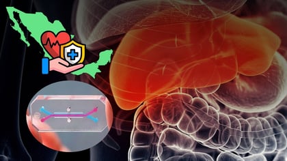 Científicos de la UNAM hacen un chip con funciones de hígado humano, esto sabemos