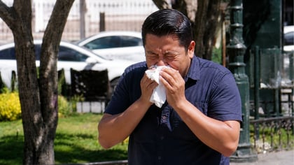 Viento en Durango: ¿por qué aumentan los síntomas de alergia cuando hay ráfagas fuertes?