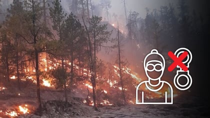 No hay personas detenidas por provocar incendios forestales: SRNyMA
