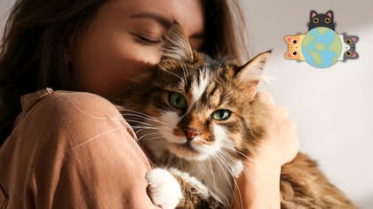 Día Internacional del Gato: por qué los michis conquistaron a toda una generación