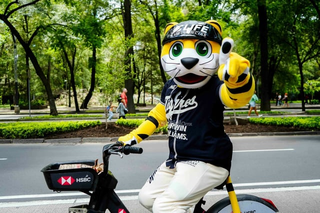 Mascotas de la LMB visitaron fotogalería con motivo del Centenario del circuito veraniego