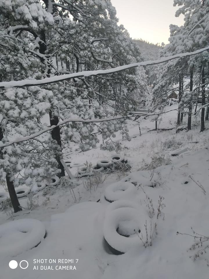 Nieve pinta de blanco a Durango