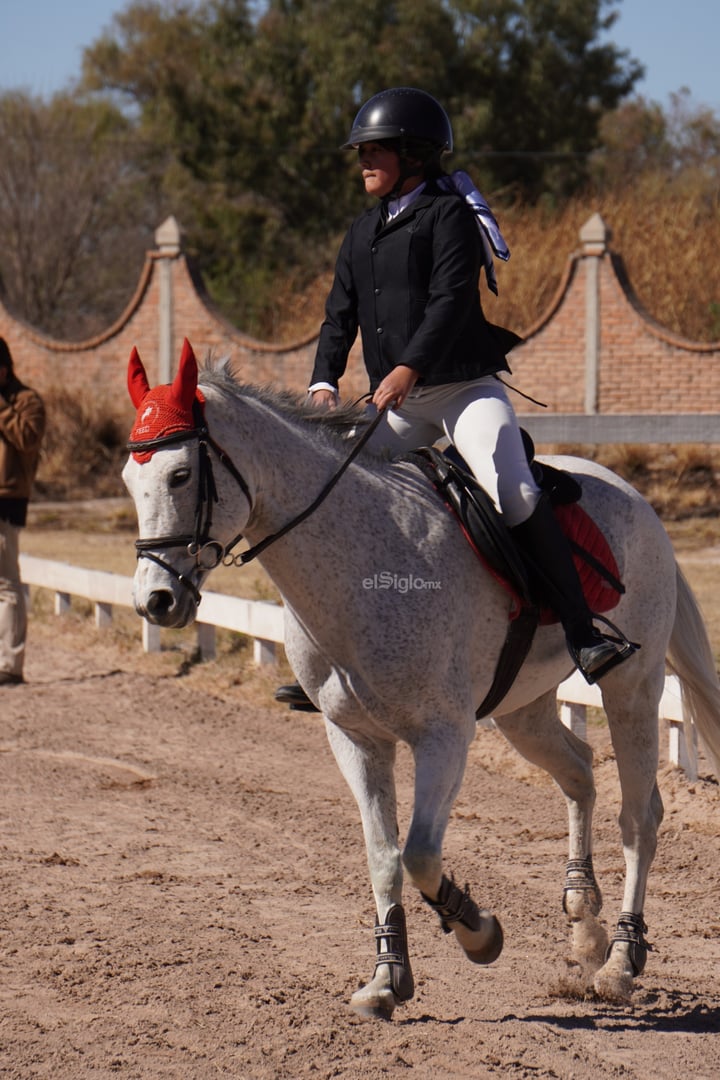 Circuito Ecuestre Estatal de Durango 2026 arranca en Deluxe Horse Market con buen nivel deportivo