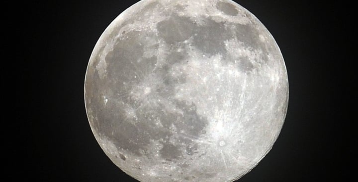 Luna de Gusano (ESPECIAL)