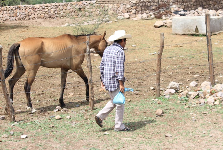 En zonas rurales hay poca agua para enfrentar el calor: Regidor de Durango