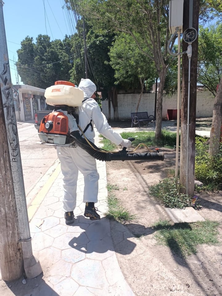 Personal de la dependencia intensificó las labores de fumigación en varias colonias del municipio.