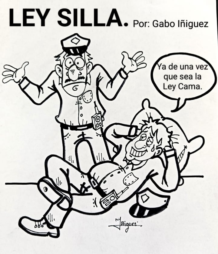 Ley Silla: cartón de Gabo Iñiguez