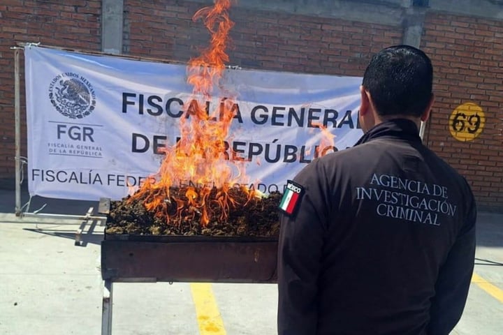Fiscalía General de la República incinera más de 30 kilos de droga en Durango