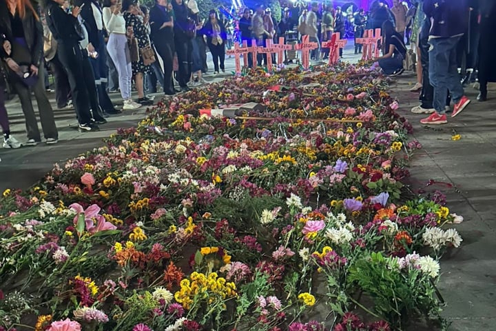 Mismos reclamos; una forma distinta de protestar... las duranguenses tomaron el espacio público sin iconoclasia