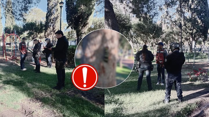 Hallan supuesto ritual de brujería en el Jardín de San Antonio, en Durango