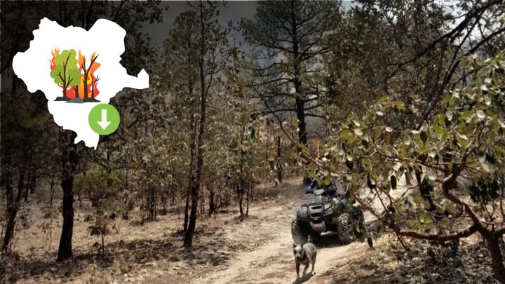 Durango registra 21 incendios forestales menos que en marzo de 2025