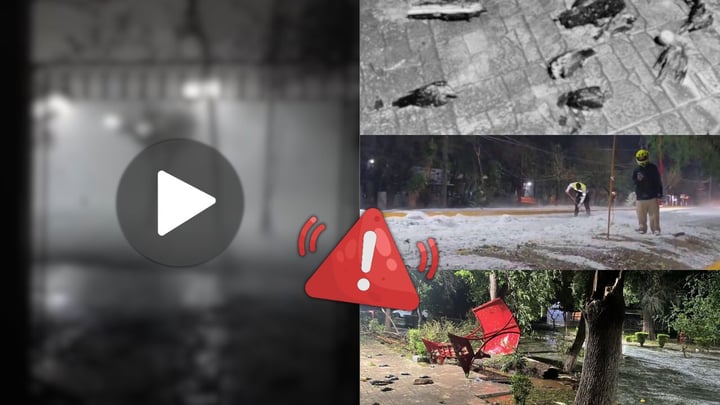 Así fue la tromba que azotó a Lerdo; dejó daños materiales, animales muertos y árboles caídos