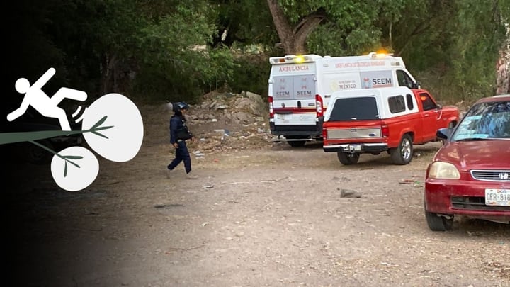 Turista cae de árbol en El Pueblito; rama no soportó su peso y se quebró