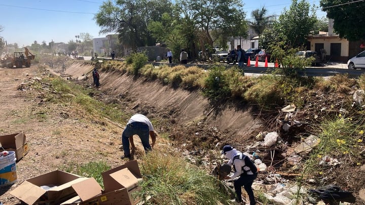 Tramo. Se llevó a cabo la limpieza de un tramo del canal Santa Rosa-Tlahualilo, el cual comprende aproximadamente 1.5 kilómetros.