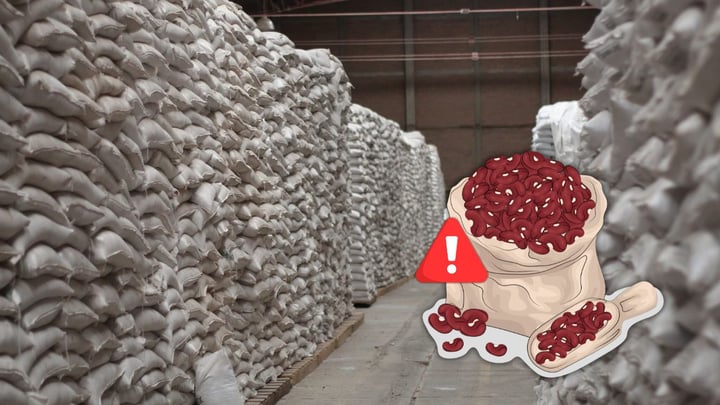 Durango, entre los principales productores de frijol, pero con muchas dificultades para comercializar