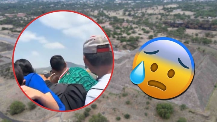 (Canva, redes sociales)