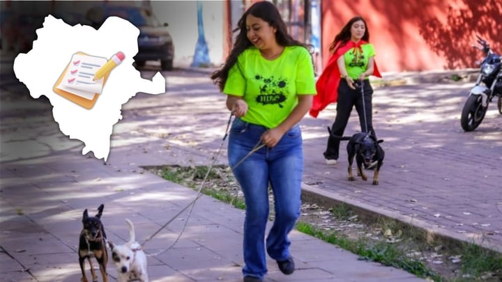 Continúan las encuestas para definir la nueva ruta de Durango de Rol