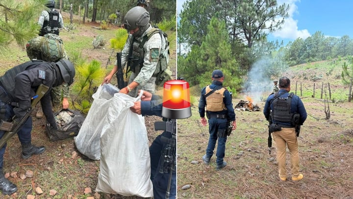 Localizan y destruyen equipo táctico abandonado en El Durazno, Tamazula