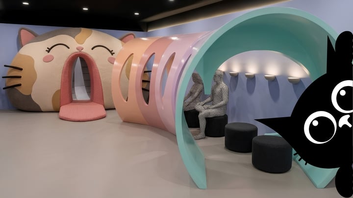 Anuncian el primer Museo del Gato en CDMX; abrirá sus puertas en agosto