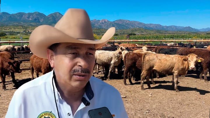 Ganaderos de Durango deberán esperar para exportar ganado a Estados Unidos