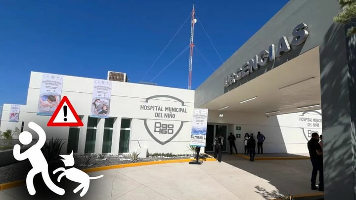 Pitbull ataca a niño de cuatro años en Durango; lo mordió al menos cinco veces