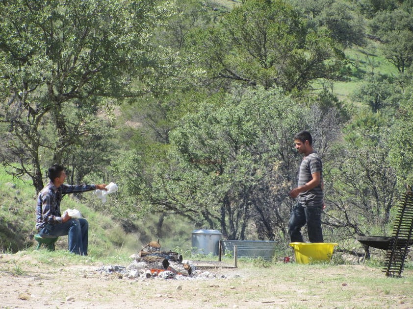 Los jóvenes conviven en su hábitat natural: el campo.