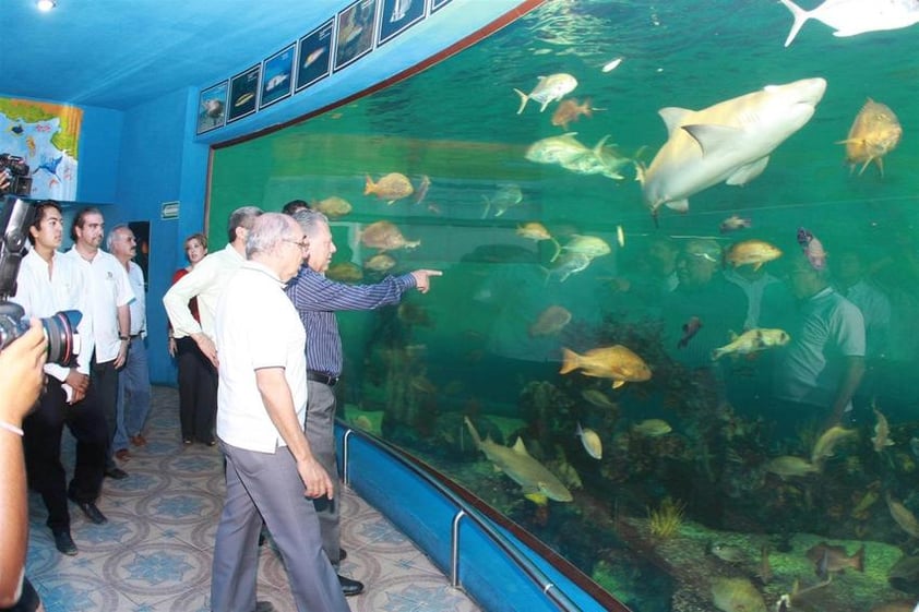 Si lo que se desea es convivir con la vida marina, puede visitarse el Acuario, donde puede incluso verse a las más variadas especies de tiburones.