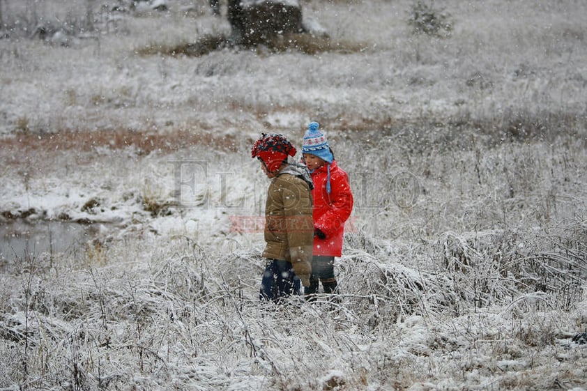 Se activó un programa de apoyo emergente para los municipios afectados por la nevada.