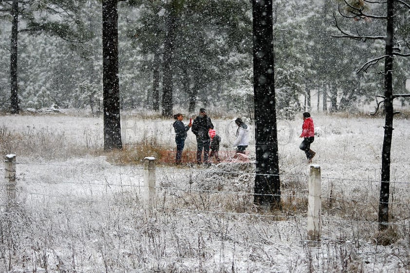 La caída de nieve se registró caída de nieve en Pueblo Nuevo, Guanaceví, Tepehuanes, Mezquital, Canatlán, Nuevo y Santiago Papasquiaro así como en las zonas serranas de Durango.