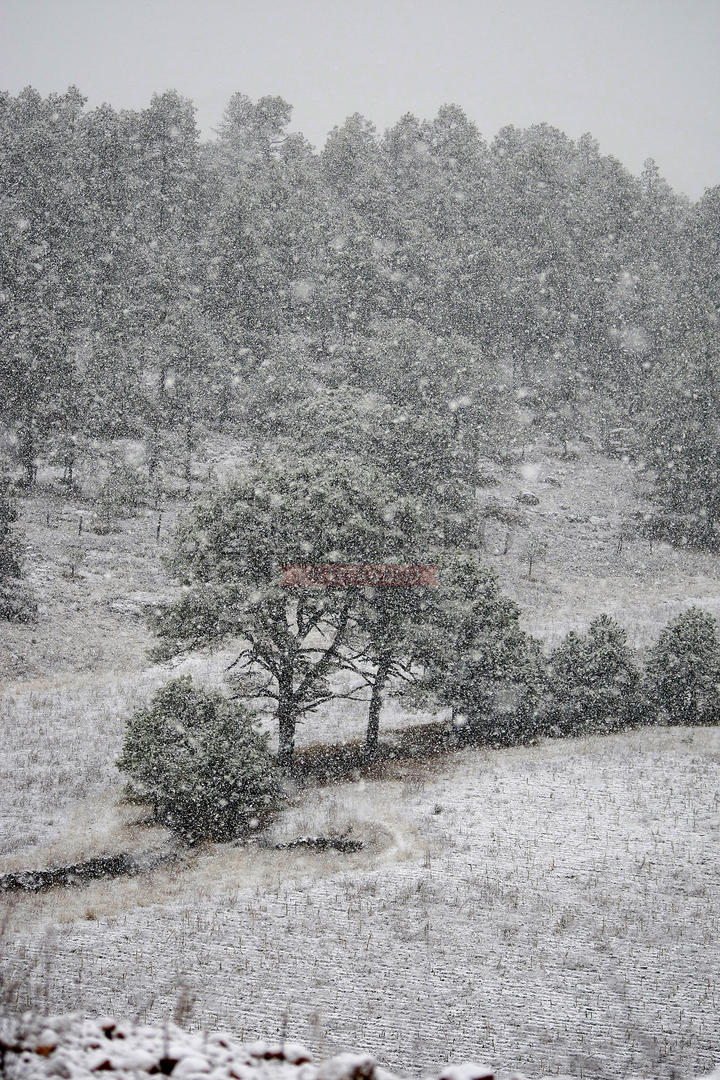 Asombrosos paisajes se pudieron apreciar con la nieve en distintos poblados del estado.