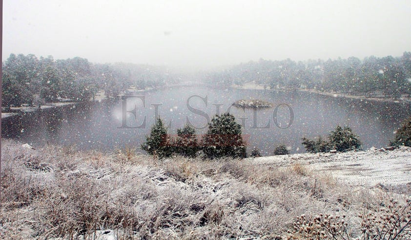 Ocho municipios de Durango amanecieron cubiertos de nieve.