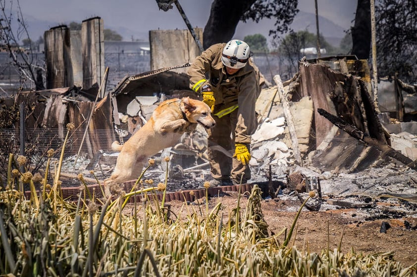 Asimismo, obligó a evacuar a más de 82 mil personas.