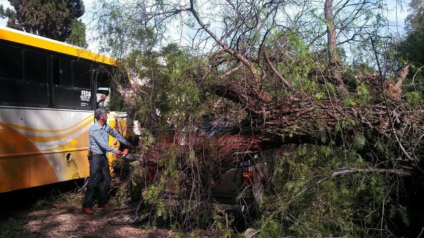 El conductor del autobús alcanzó a frenar, lo que evitó afectaciones mayores a pasajeros.