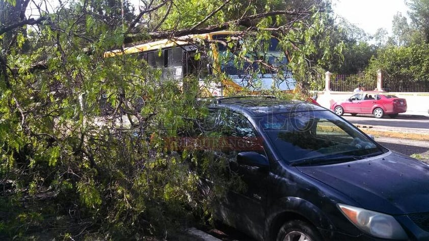 Las lluvias que se han presentado en la ciudad han ocasionado el reblandecimiento de la tierra.