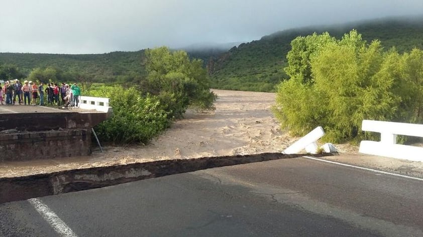 De acuerdo a Enrique Rentería, director de la Unidad Municipal de Protección Civil de Rodeo, al puente lo fracturó un tronco de grandes dimensiones que era arrastrado por la corriente de agua, ya después la fuerza del mismo arroyo se encargó de quebrar la estructura y llevarse 10 metros de longitud por 20 de ancho, cortando el paso por la Panamericana.