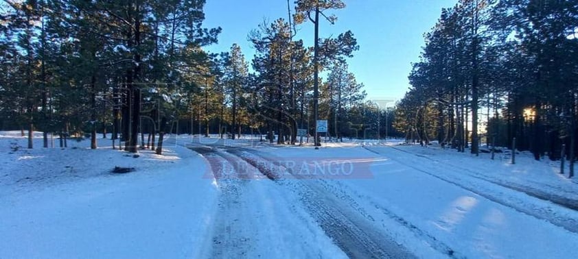 Registran nevadas 19 comunidades de Durango