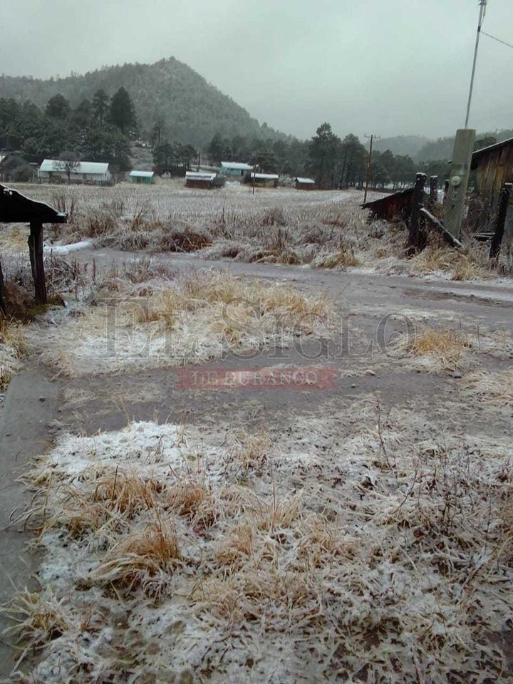 Registran nevadas 19 comunidades de Durango