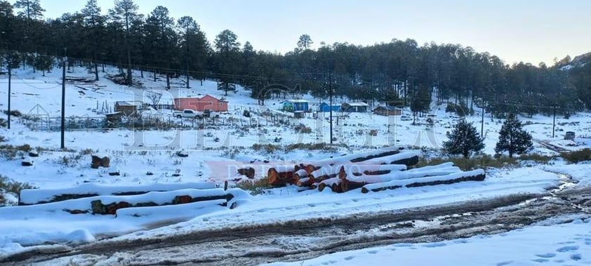 Registran nevadas 19 comunidades de Durango