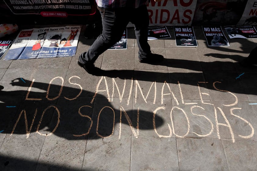 Activistas en contra de la tauromaquia se manifiestan hoy frente a una sede del Poder Judicial de la Federación en Ciudad de México